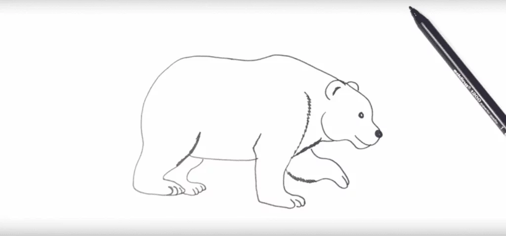 Tekening van een ijsbeer